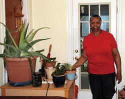 Elnora Thompson’s green thumb has been a God-send for the Nightingale Community Garden, Dorchester’s largest.